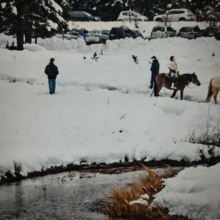 Διαμέρισμα ΑΡΧΟΝΤΙΚΌ Μουζάκι ΚΑΡΔΙΤΣΑ ΤΡΙΚΑΛΑ