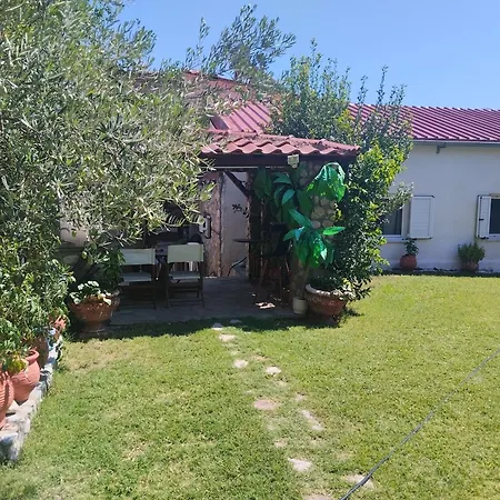 Διαμέρισμα ΑΡΧΟΝΤΙΚΌ Μουζάκι ΚΑΡΔΙΤΣΑ ΤΡΙΚΑΛΑ