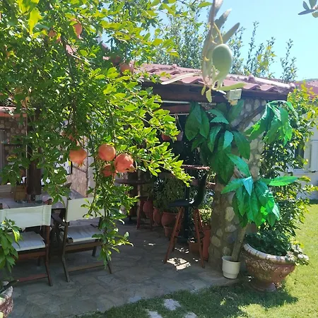 ΑΡΧΟΝΤΙΚΌ Μουζάκι ΚΑΡΔΙΤΣΑ ΤΡΙΚΑΛΑ *