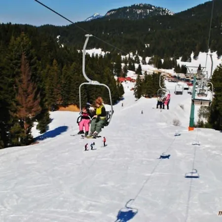 Διαμέρισμα ΑΡΧΟΝΤΙΚΌ Μουζάκι ΚΑΡΔΙΤΣΑ ΤΡΙΚΑΛΑ *