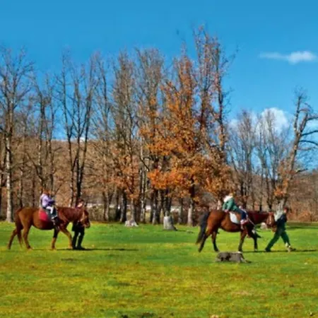 ΑΡΧΟΝΤΙΚΌ Μουζάκι ΚΑΡΔΙΤΣΑ ΤΡΙΚΑΛΑ Mouzaki