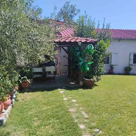 ΑΡΧΟΝΤΙΚΌ Μουζάκι ΚΑΡΔΙΤΣΑ ΤΡΙΚΑΛΑ Mouzaki