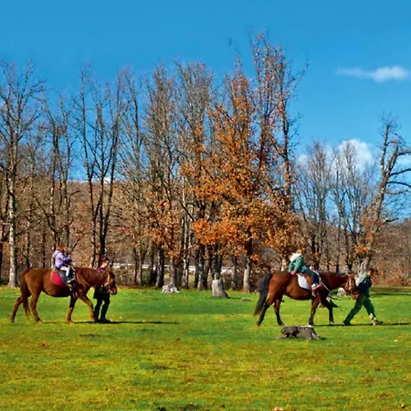 ΑΡΧΟΝΤΙΚΌ Μουζάκι ΚΑΡΔΙΤΣΑ ΤΡΙΚΑΛΑ Διαμέρισμα Mouzaki