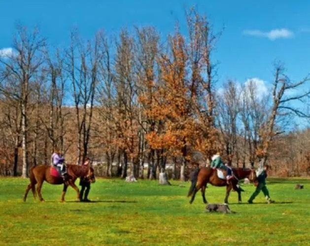 αρχοντικό μουζάκι καρδιτσα τρικαλα Mouzaki