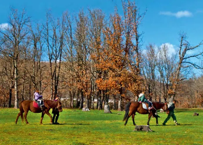 αρχοντικό μουζάκι καρδιτσα τρικαλα Appartement Mouzaki